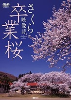 DVD 卒業桜 さくら映像詩 SAKURA for Graduation