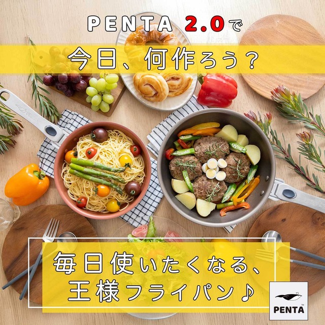 深型フライパン蓋付きセット 24cm ブラックノワール 王様フライパンPENTA 2.0（ペンタ）