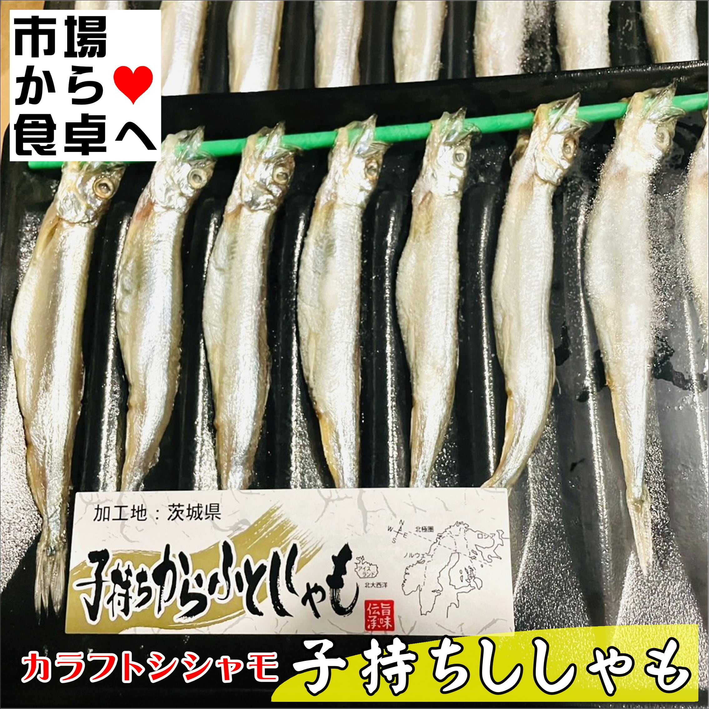 子持ちししゃも (カラフトシシャモ)5パック(1パック8尾入り)【業務用
