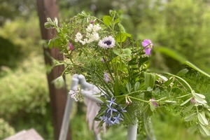 那須の畑より 季節の花便(5/3お届け)