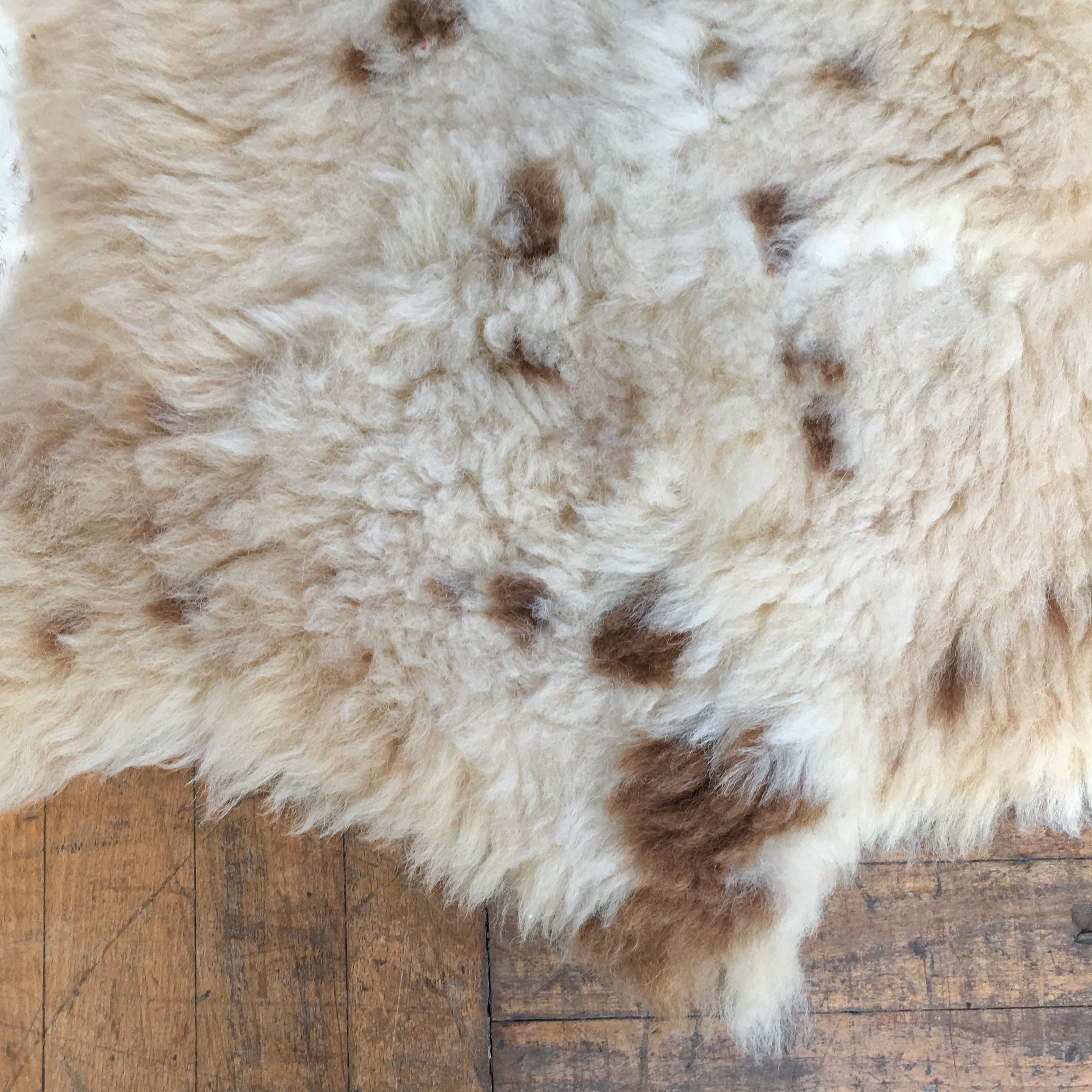 仔羊のムートンラグ 天然色 | モロッコの暮らしと手しごと