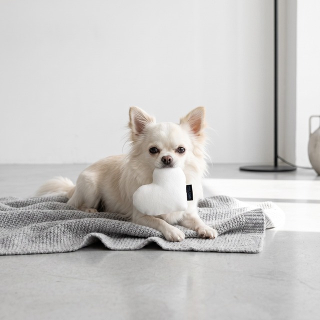 Monotone & Nuance Pet Toy ［white］モノトーン＆ニュアンス ペットトイ［ホワイト６種］