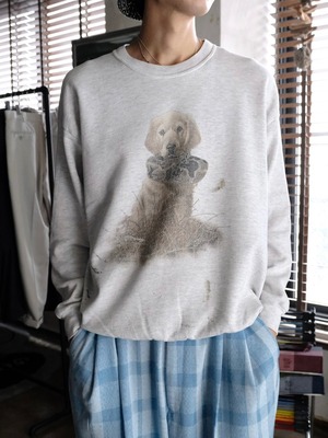 Used Dog sweat