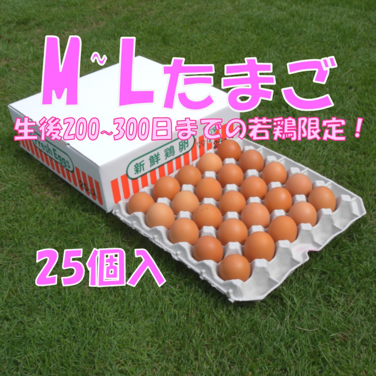 サカモトの赤卵