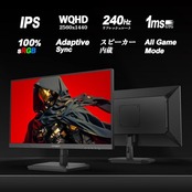 INNOCN ゲーミング モニター 24 .5インチ 240Hz IPSパネル モニター WQHD ゲームモニター ブラック（HDMI 2.1x2/DisplayPort 1.4x2/傾き調整/VESA対応/非光沢ディスプレイ）25G2S