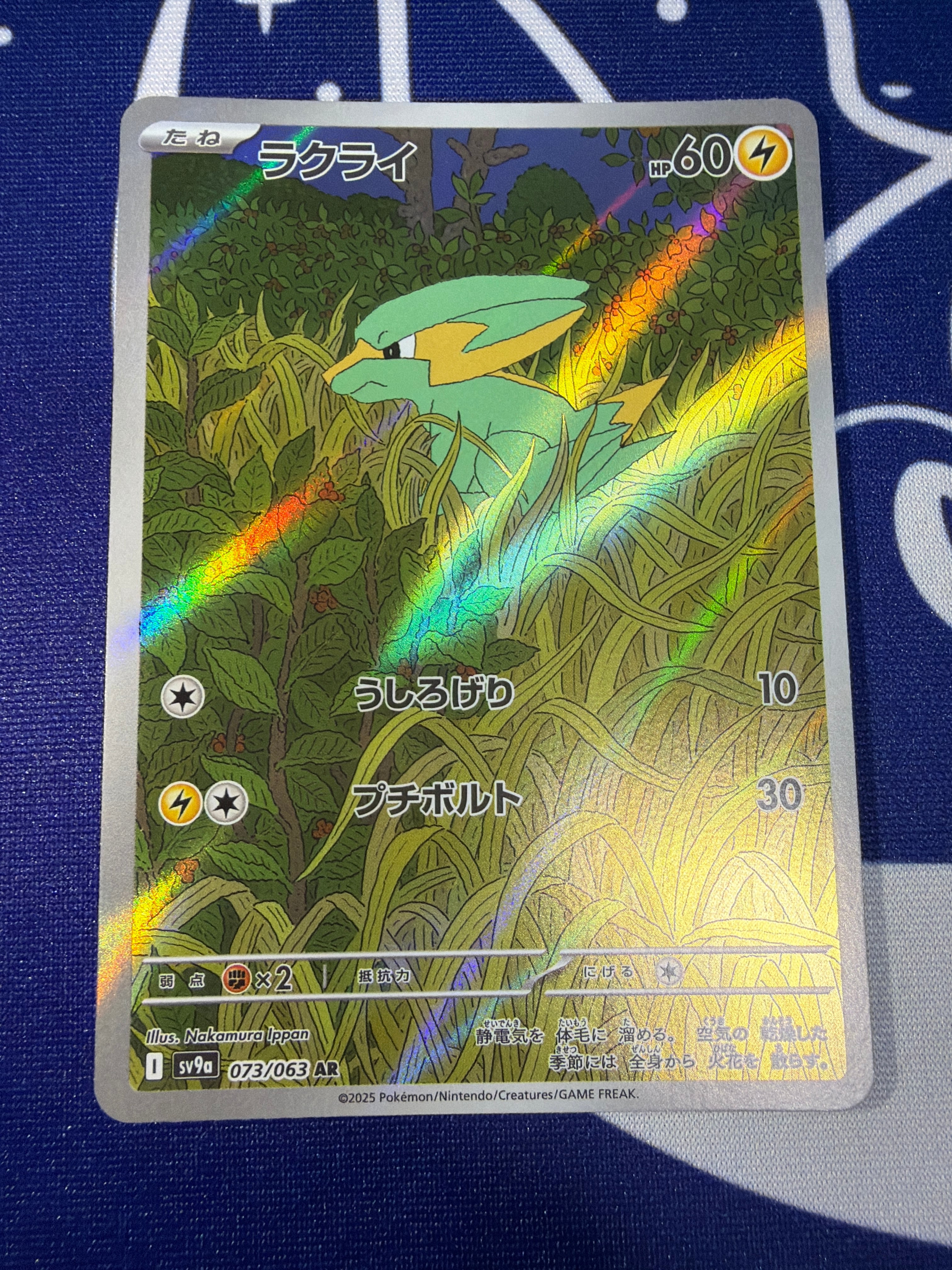 Aランク】バクガメス sv7 105/102 AR ステラミラクル ポケモンカード