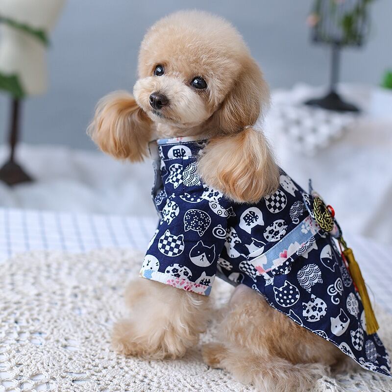 大型犬もOK 猫柄の浴衣