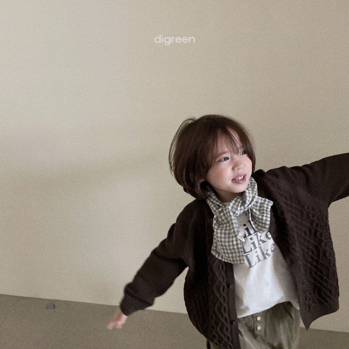 Petit scarf / digreen