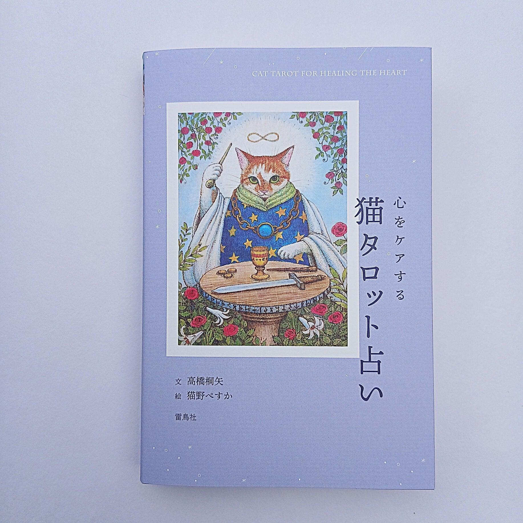 心をケアする猫タロット占い | ねこのみち