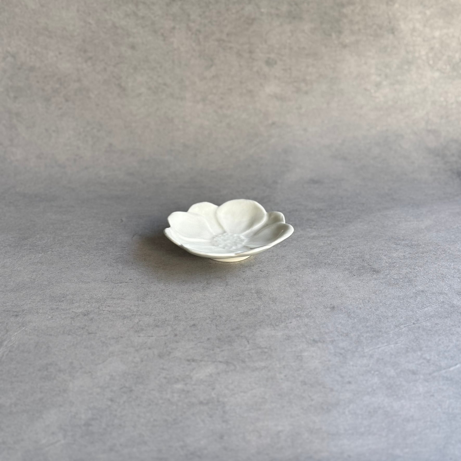 長谷川風子 LINKA c