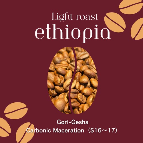 【エチオピア】Gori-Gesha Carbonic Maceration｜Light Roast-100g
