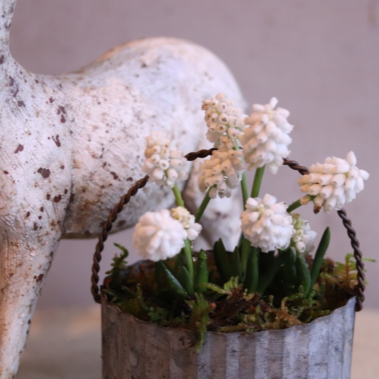 mondimanche　寄せ植え　ムスカリミニバケツ｜寄せ植え　届いてすぐ玄関に飾れる 　プレゼントにもオススメ　