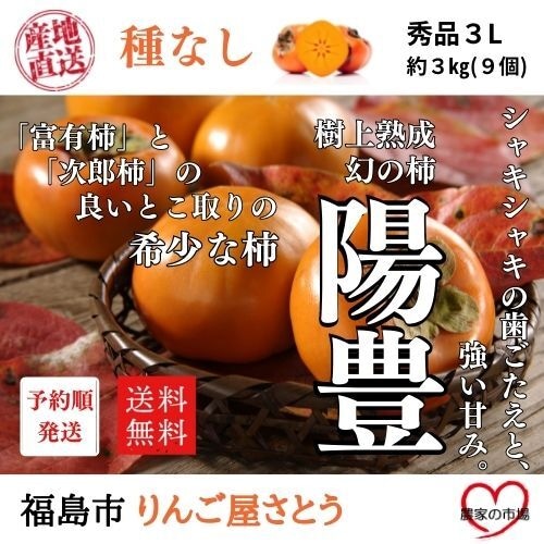 柿 陽豊 甘柿 種無し 生柿 3L 3kg 贈答品 予約 産地直送 送料無料 11月中旬～ 順次発送 福島 りんご屋さとう