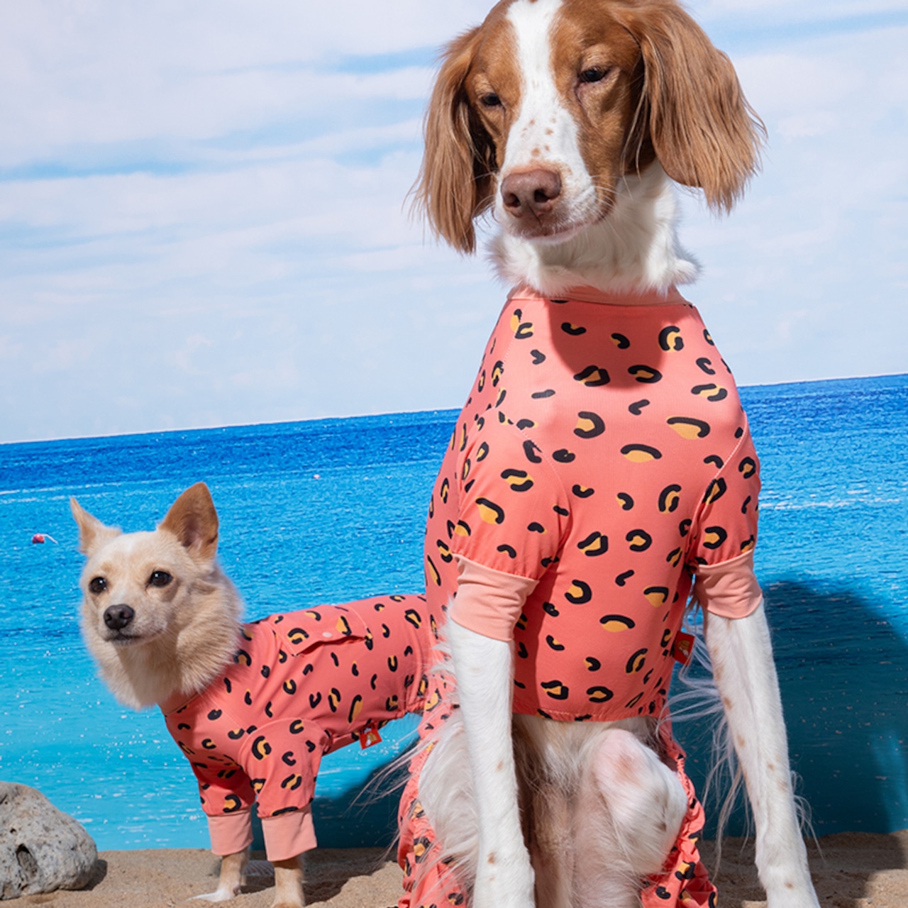 【PUPPYGARRERY公式】Little panther cooling jumpsuit 　S-XL