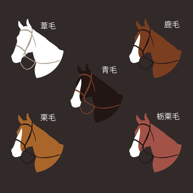 umaglo basic 馬グローブ　B《ブラック》