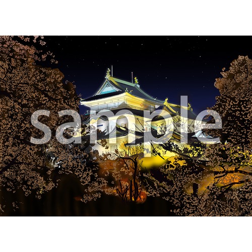 夜の和歌山城