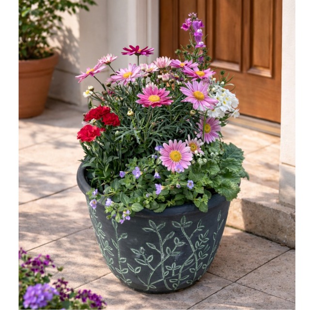 季節の寄せ植え リーフ柄 軽量プラスチック鉢 内径24cm   （グリーン・4色展開）６〜7種類のお花で構成 鉢植え ラッピング不可 ギフトメッセージOK