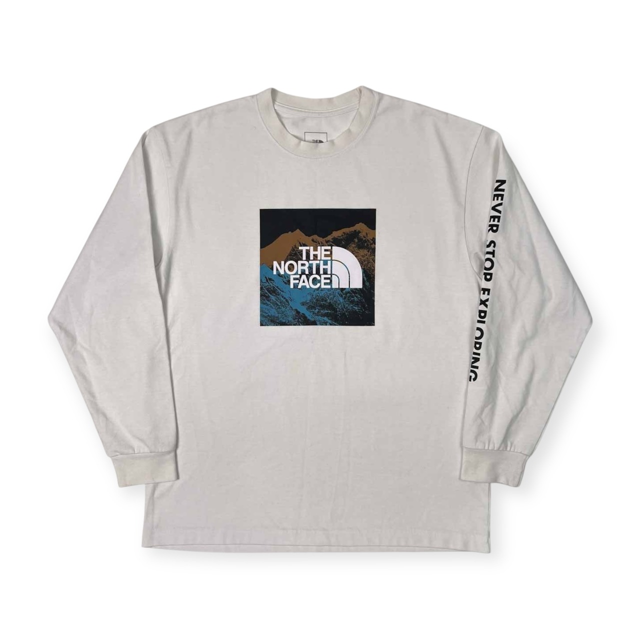 THE NORTH FACE ノースフェイス ロゴプリント 袖プリント 長袖Tシャツ カットソー サイズ M /メンズ/ホワイト