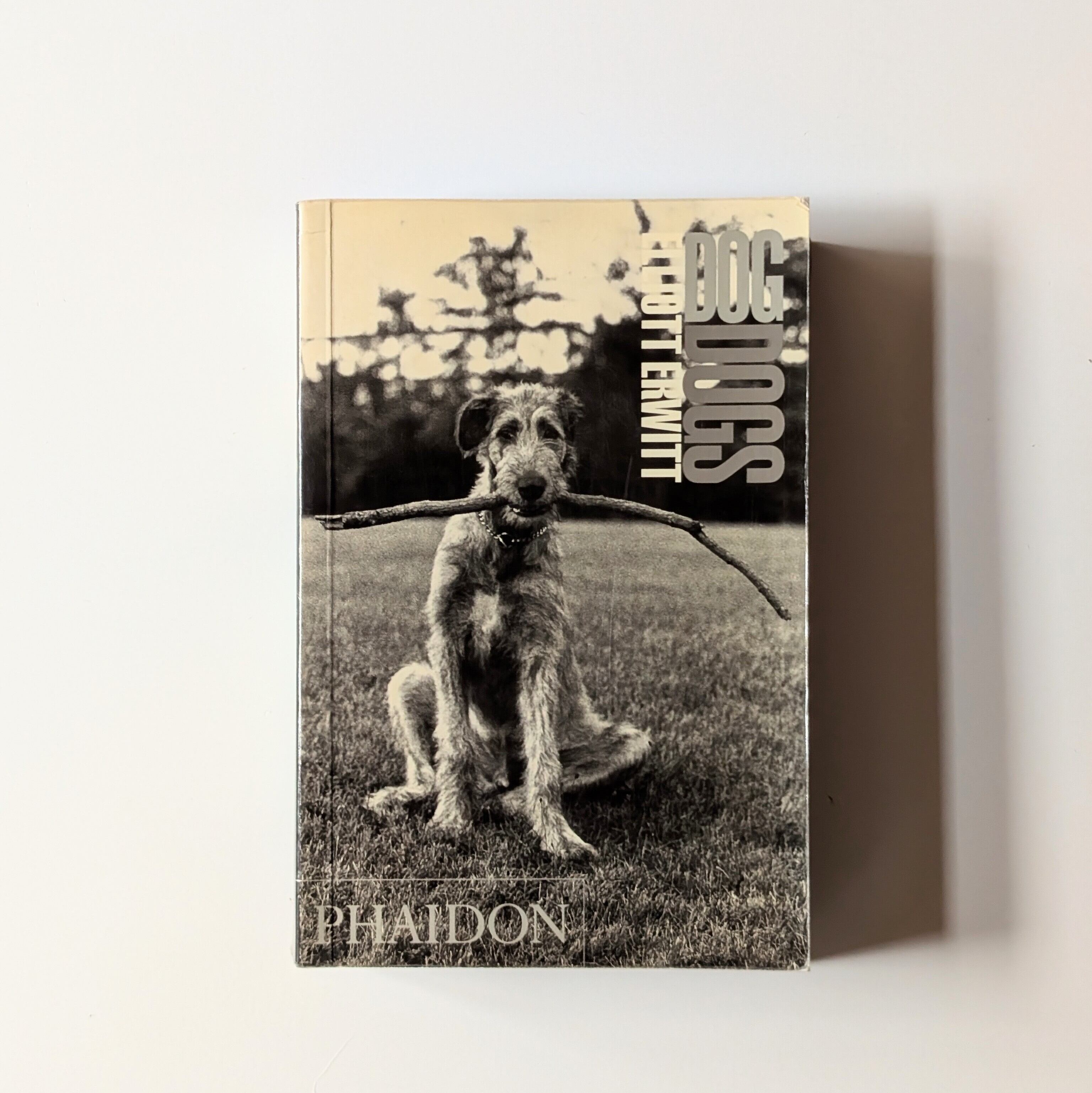 DOG DOGS/ELLIOTT ERWITT | イヌグラシ