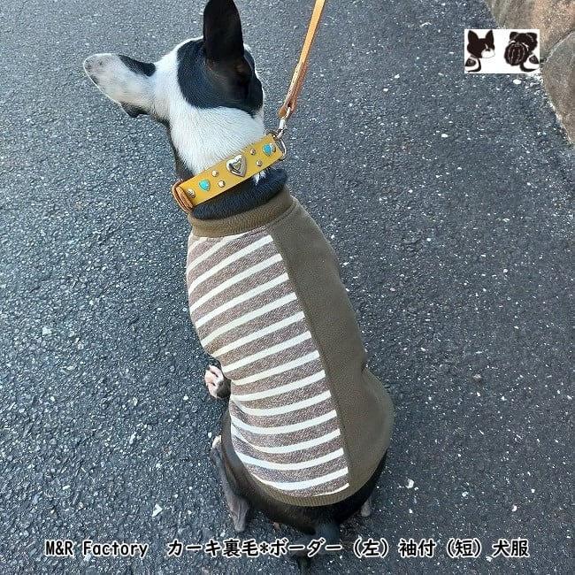 犬服 S わんこの普段着 青いちご 犬服 3S わんこの普段着 野いちご