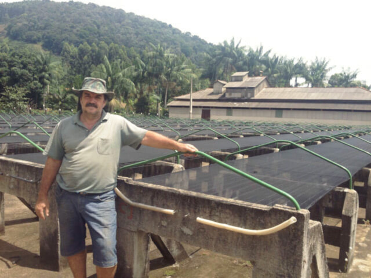 ブラジル【 セハー・ド・ボネ農園 】100g 画像3