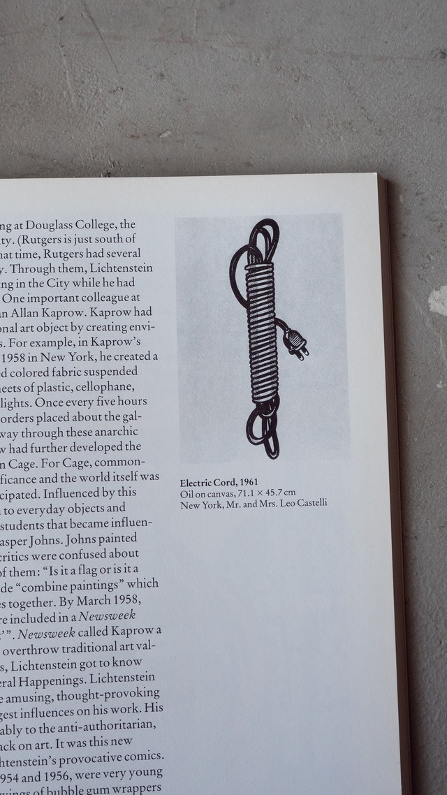 "LICHTENSTEIN" vintage Book