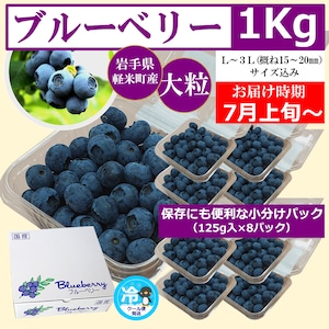 〈１箱１口〉【数量/期間限定】実のり畑中果樹園もぎたて完熟生ブルーベリー約１kg（125g×8パック×1箱、L～3Lサイズ込み）