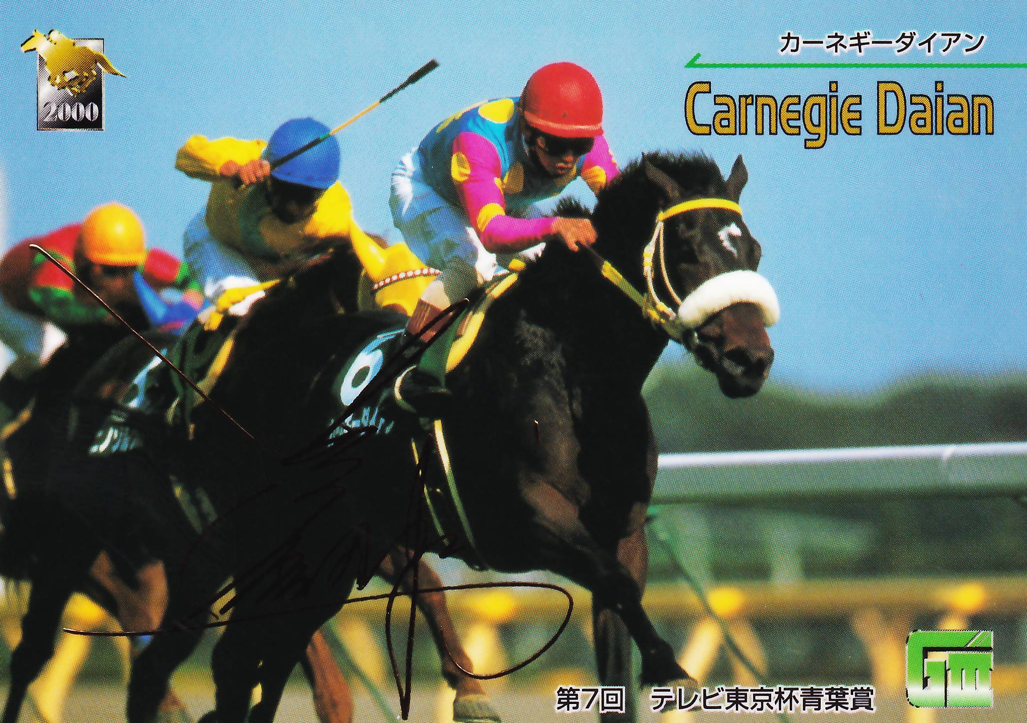ボレール：第118回 農林水産省賞典中山大障害(春)「サラブレッドカード