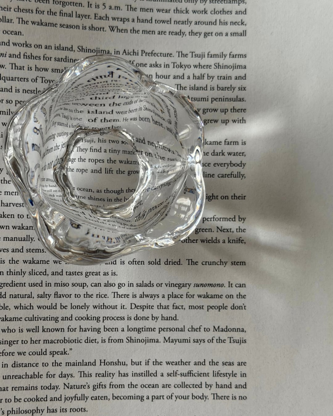 french vintage cristal glass / “Daum france” クリスタルのサルロン 花びら a