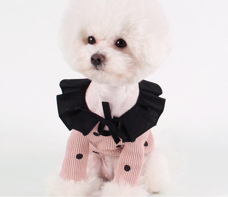 ドットフリルニット S ~ XL 2color / 犬服 ドッグウェア 小型犬 中型犬 犬の服 わんちゃん ペット