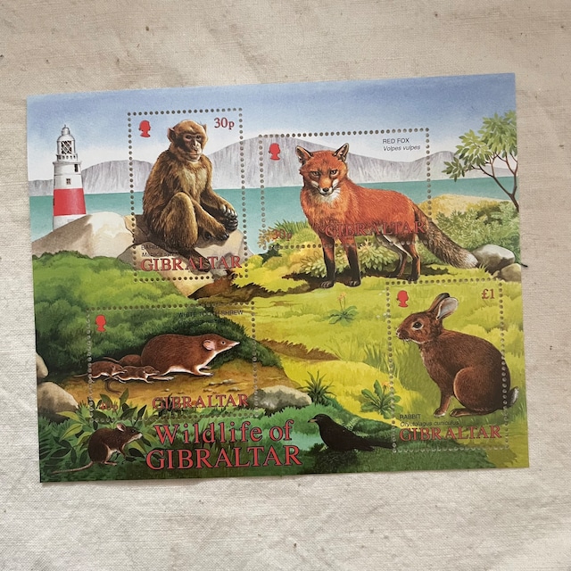 野生の世界の切手