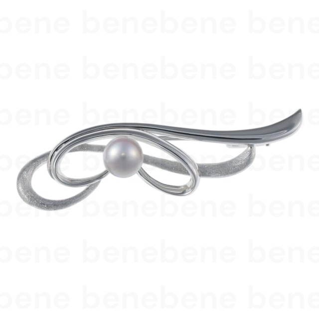 SVﾌﾞﾛｰﾁ ②