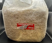 送料無料!!【10袋セット】AG ブロック(オオヒラタケ)
