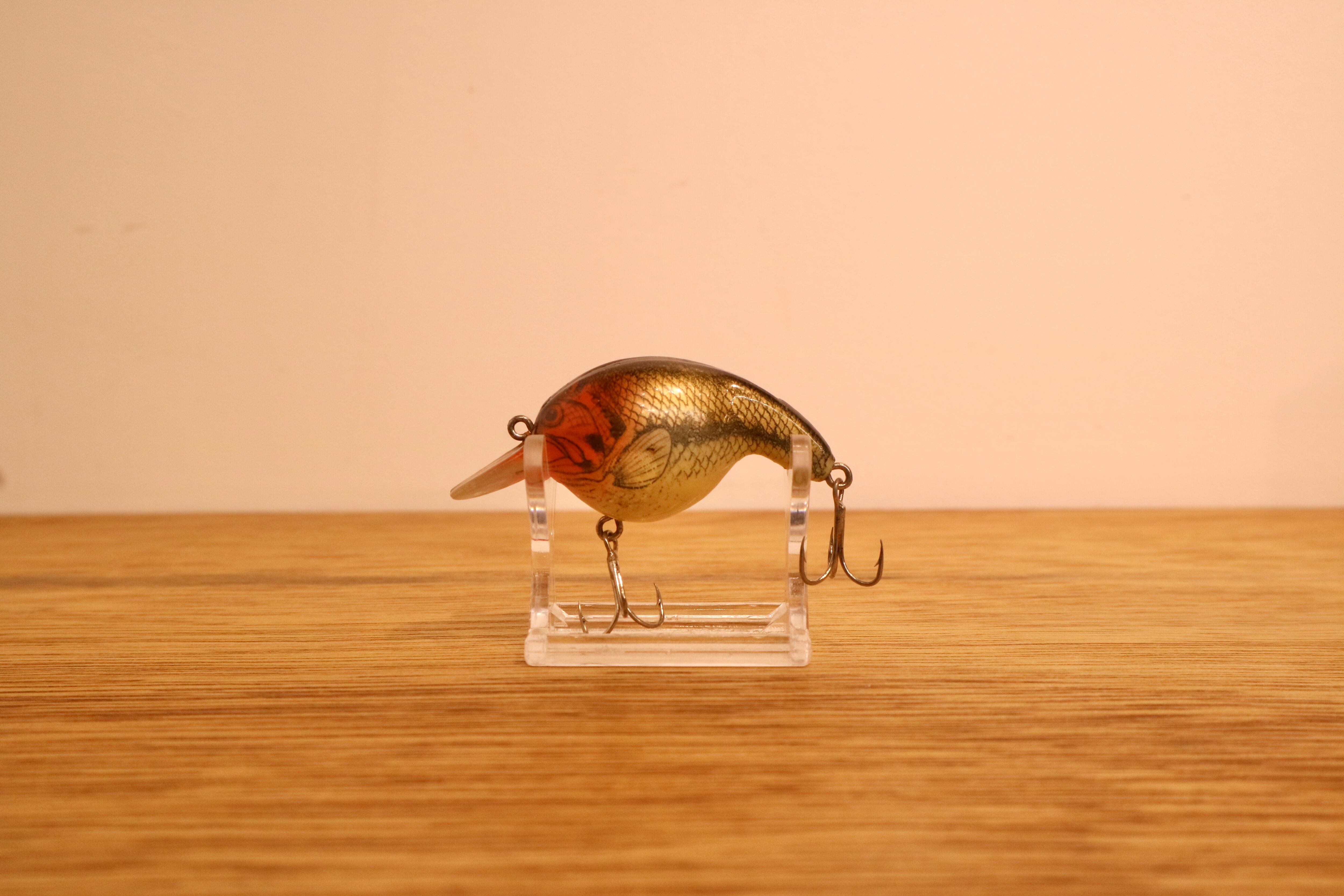 CORMORAN (コーモラン) / サーフバスクランカー