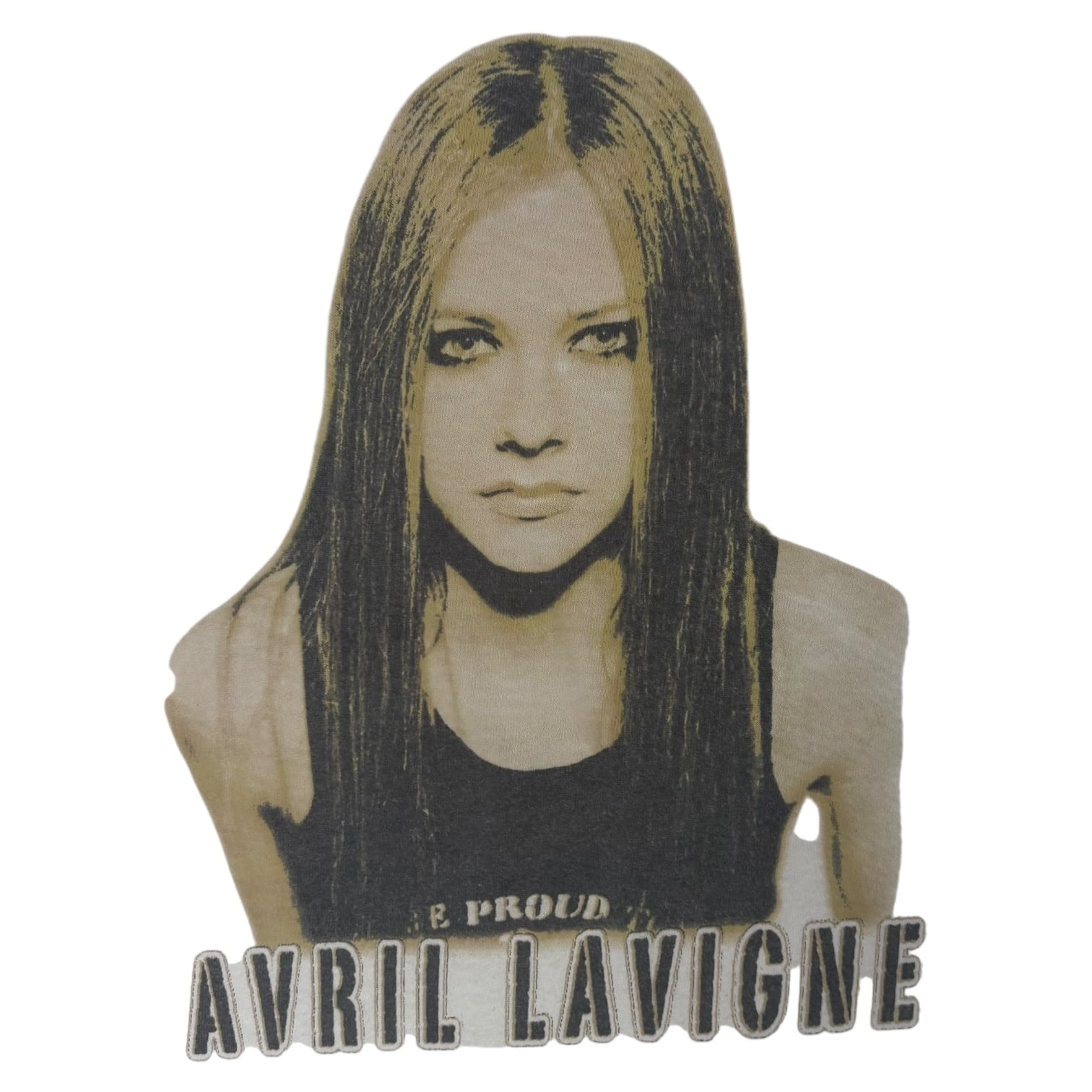 AVRIL LAVIGNE】アヴリル・ラヴィーン GILDANタグTシャツ XL