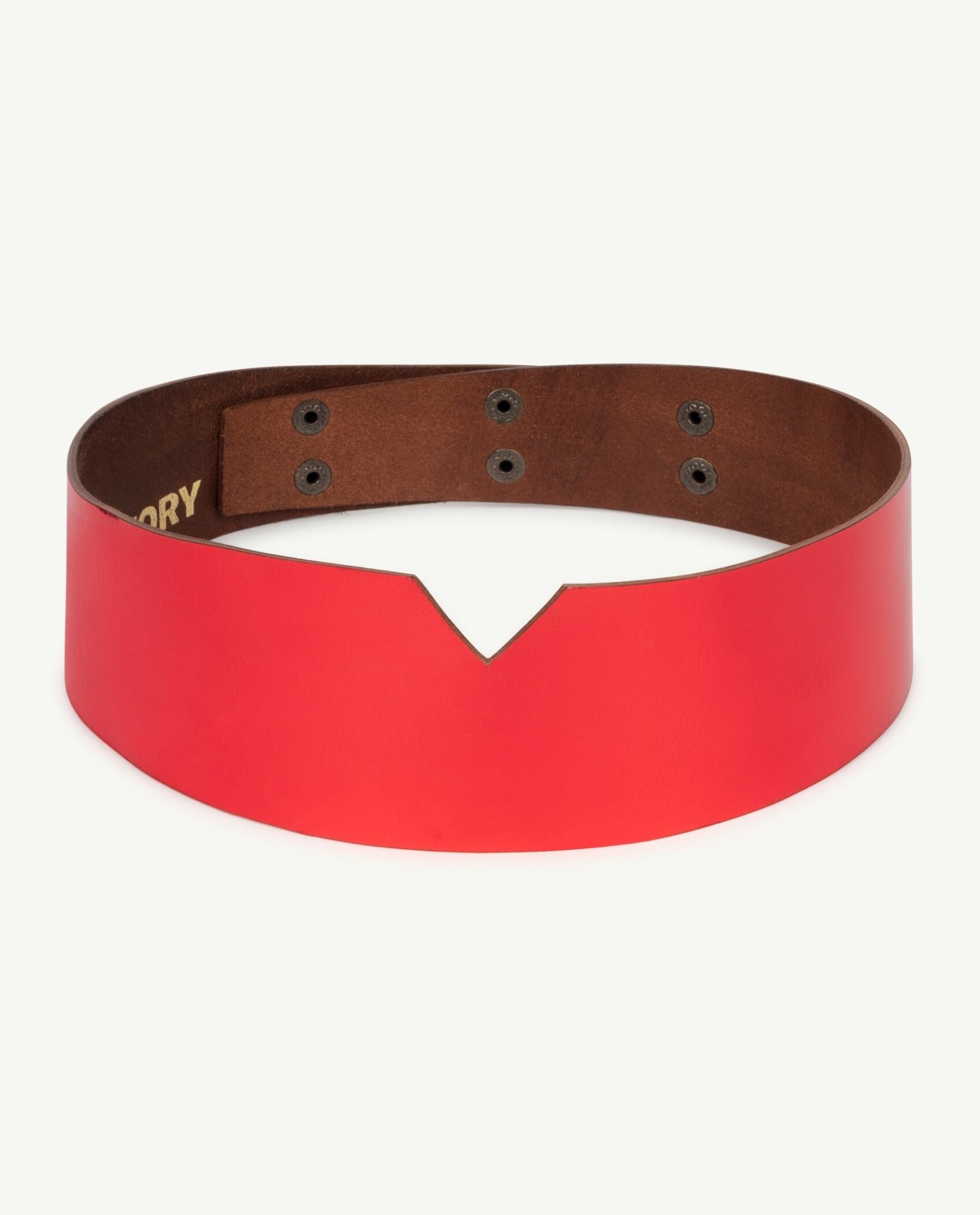 The Animals Observatory (TAO) /SHINNY BELT | PEAM