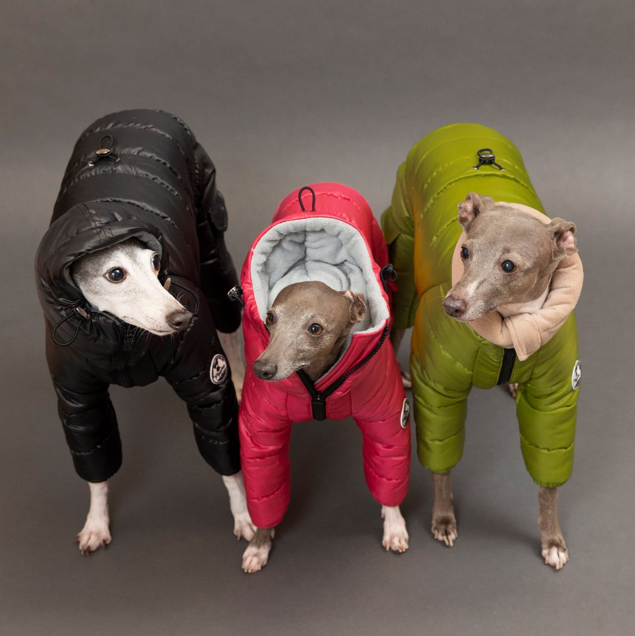 grindog H2スノースーツgrindog スノースーツイタグレミニピン