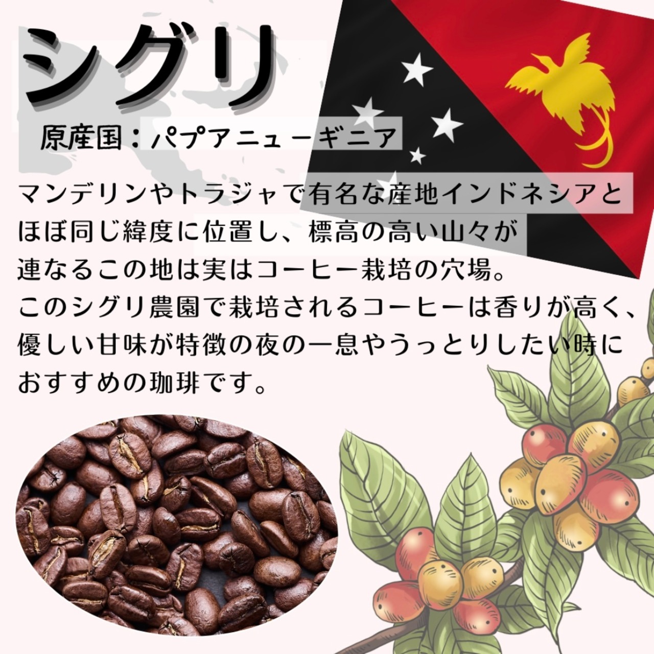 ●シグリ (パプアニューギニア)800ｇセット