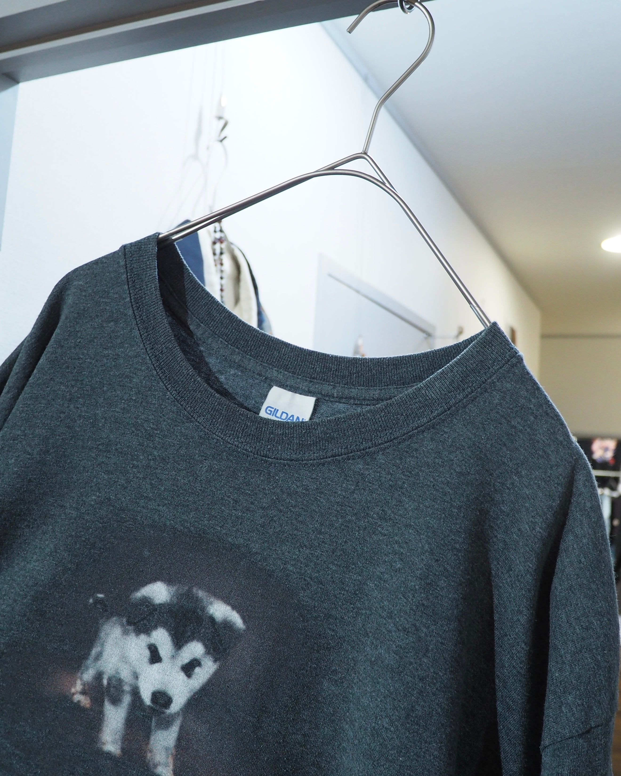 " 深淵 " Siberian husky Graphic printed SS Tee