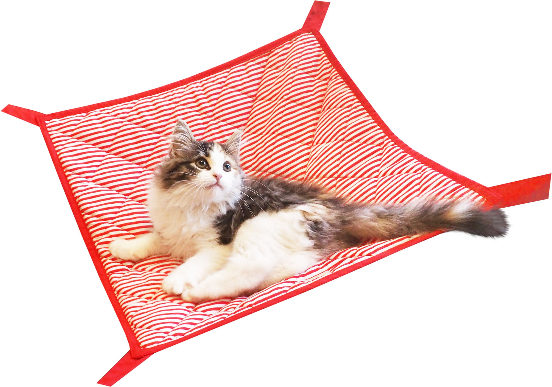 【キャトハンモック】しましま猫のハンモック　レッド/ブルー