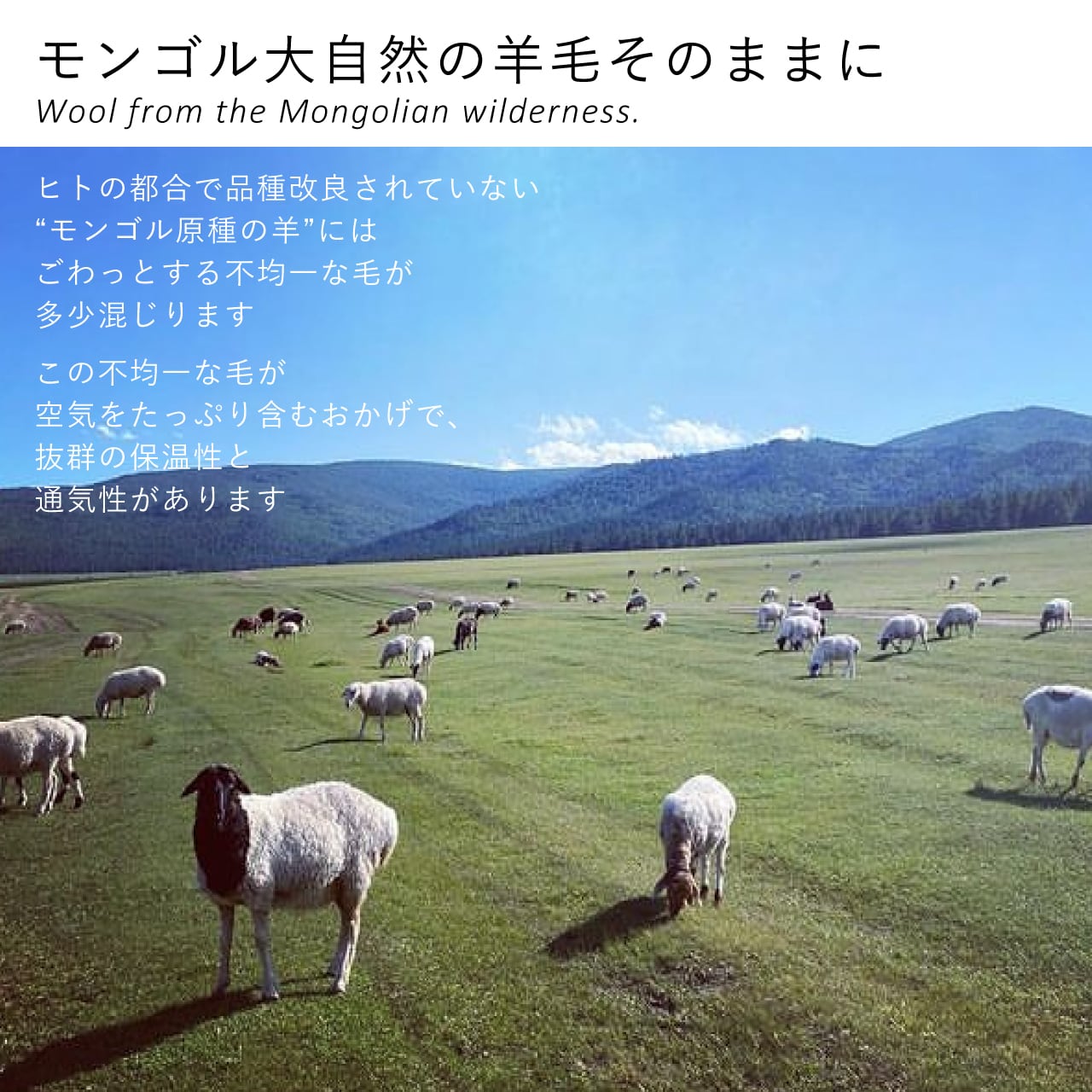 ウールのハイソックス／足底補強タイプ｜オフホワイト | 空飛ぶ羊 BASE