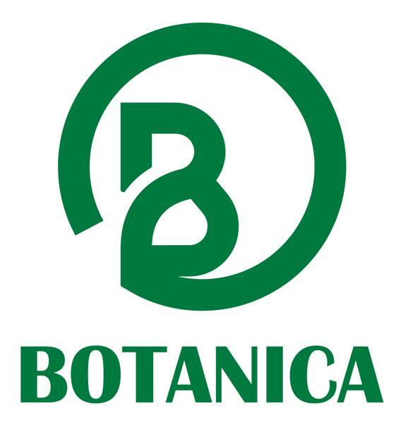 BOTANICA 作家鉢 植木鉢 (一点物 / ハンドメイド) | BRIDGE GARDEN