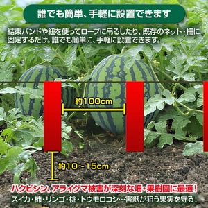 撃退ハクビシン屋外用2026最新版 １０個入 10m用 忌避剤 害獣対策 効果は１年持続 ハクビシン忌避剤 ハクビシンよけ