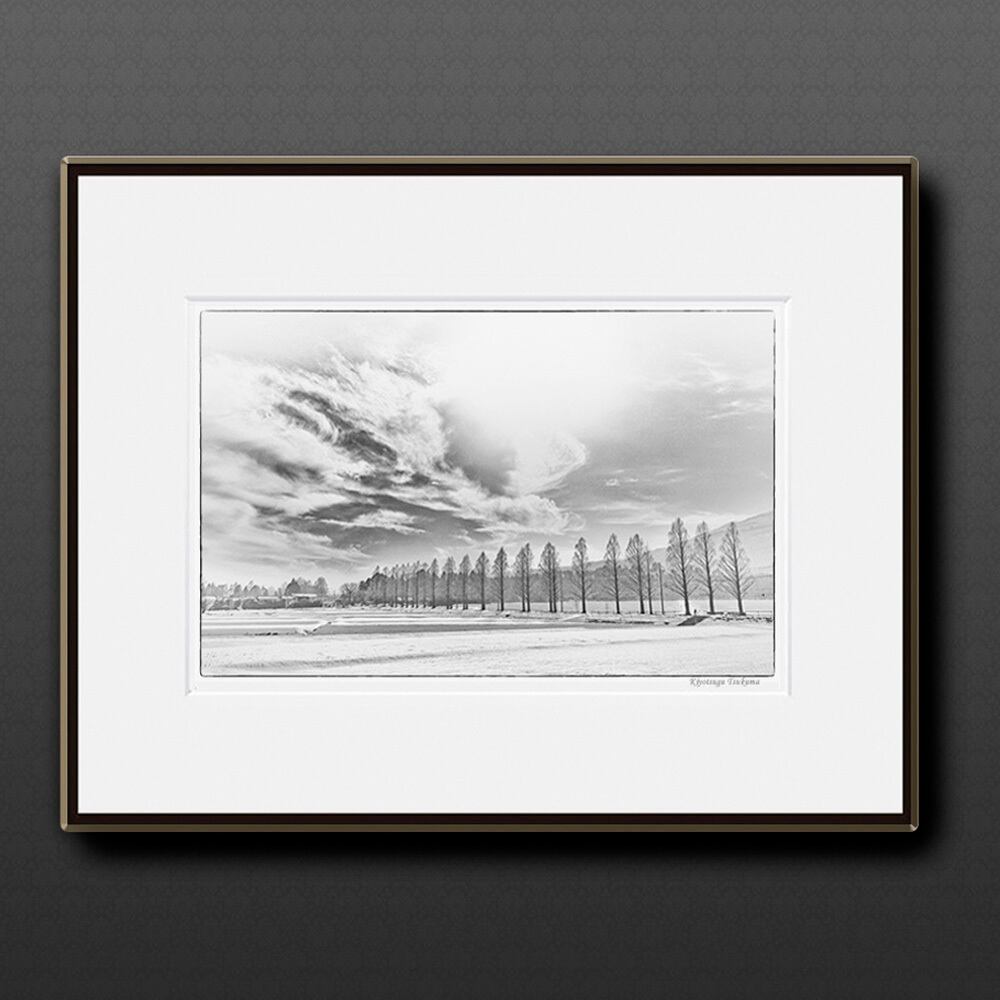 冬のメタセコイヤ並木 ■額縁サイズ(大全紙)726×544mm