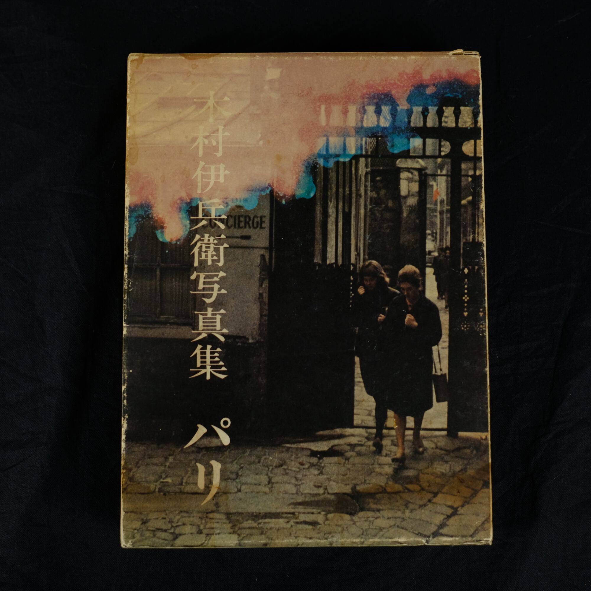 YOKO KUSANO×MOTOLA SERENA / 草野庸子 | PAY ID