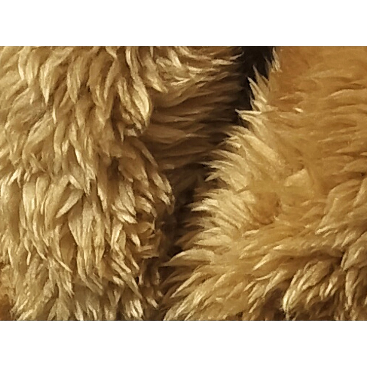 17.もふもふA【4寸】