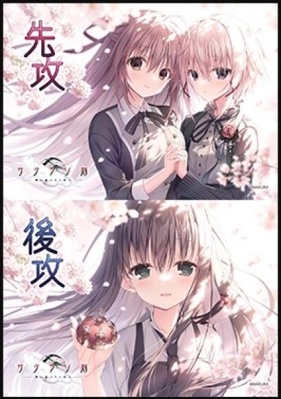 アマカノ3』花単デッキ | カードショップキャット 綾瀬店