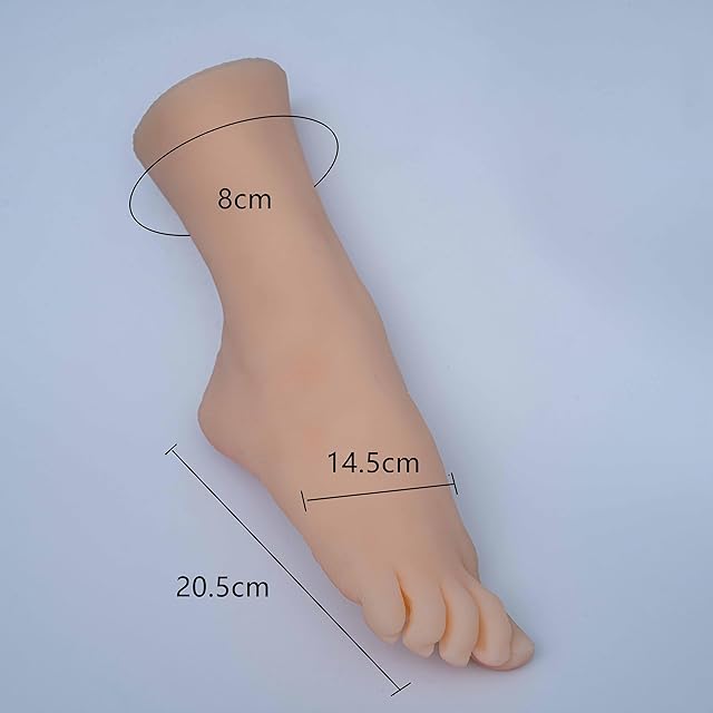 シリコン　足　脚　マネキン　模型 Amazon | 足 模型 シリコン リアル 足 マネキン 女性 両足