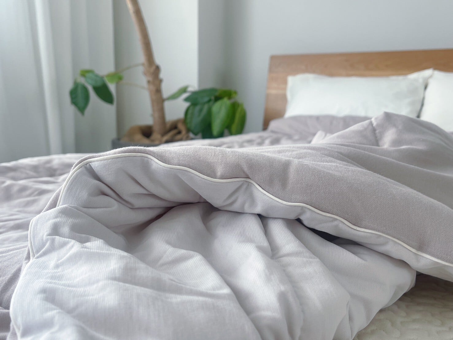 hinyari アイスコットン 薄掛けふとん リバーシブル 【シングル