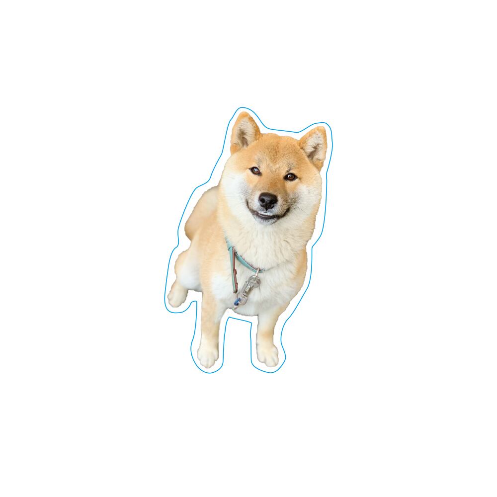 柴犬そら アクリルスタンドC | SPACE FACTORY ONLINE STORE